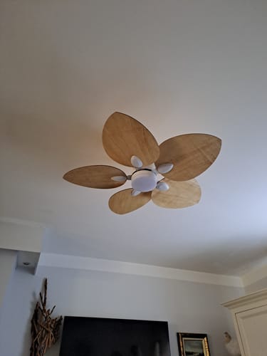 Customer's Dahlia teinté Chêne ventilateur de plafond monté au plafond, les pales en bois clair sont en forme de pétales.
