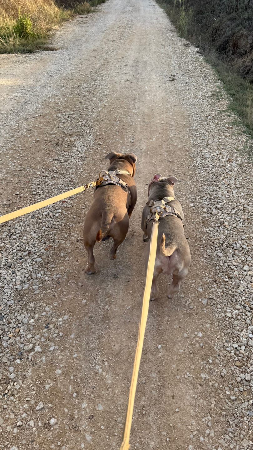Customer photo review of Anti Pull Hurricane Harness Lighter | With Handle - Tan X Tan