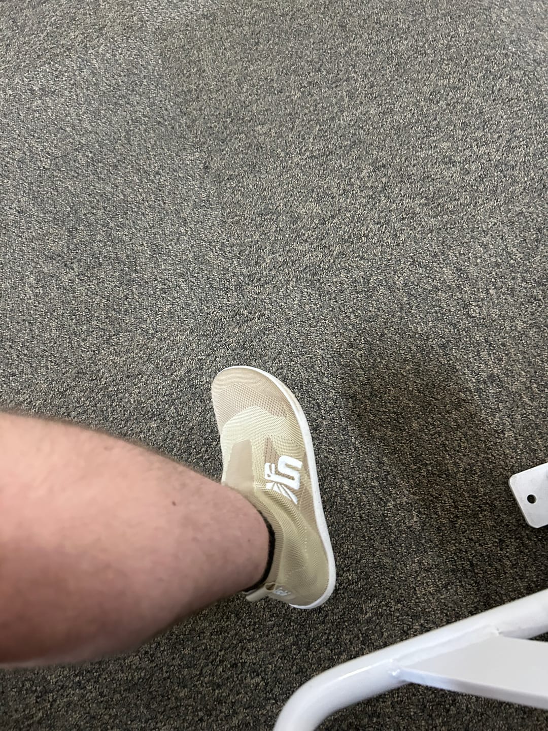 Customer photo review of THE OTISHI 2.0 "Petrified Sand" (AMARU LOGO)
