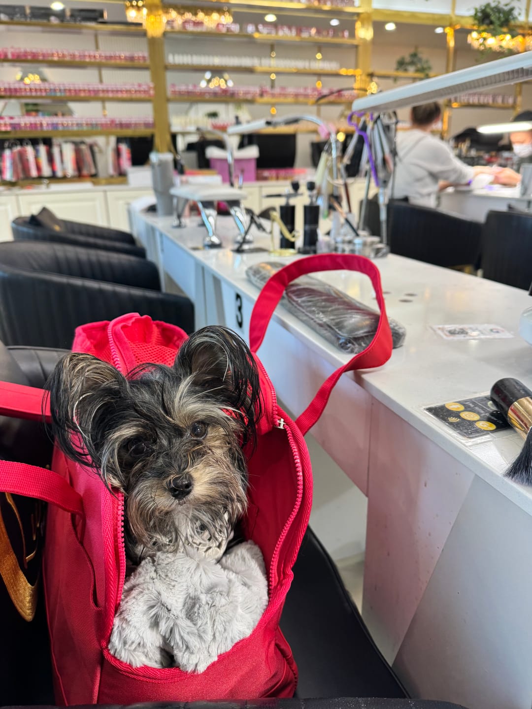 Customer photo review of Rouge Berry Pet Tote Bag — Limited edition