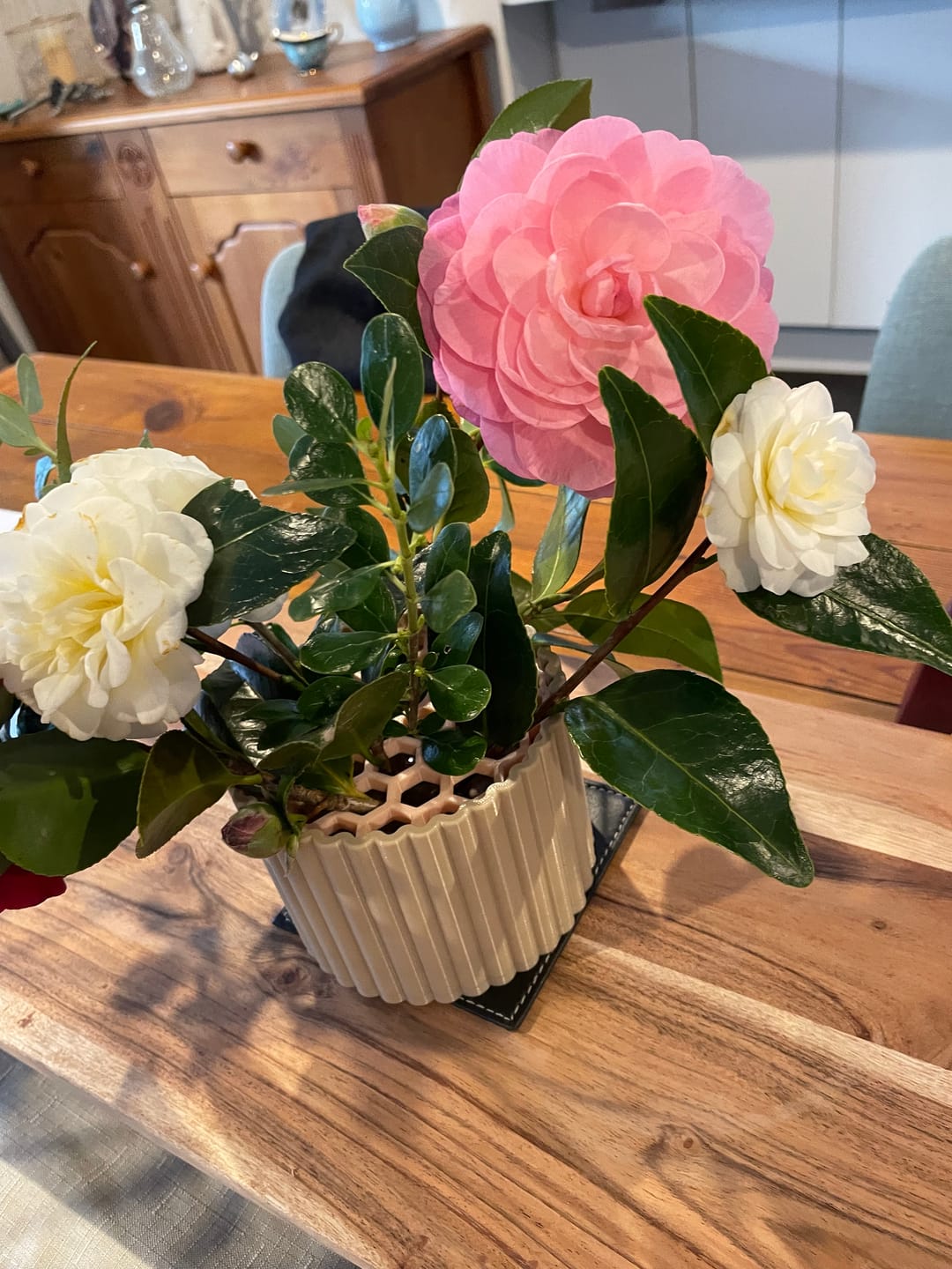 Customer photo review of Mini Poppy