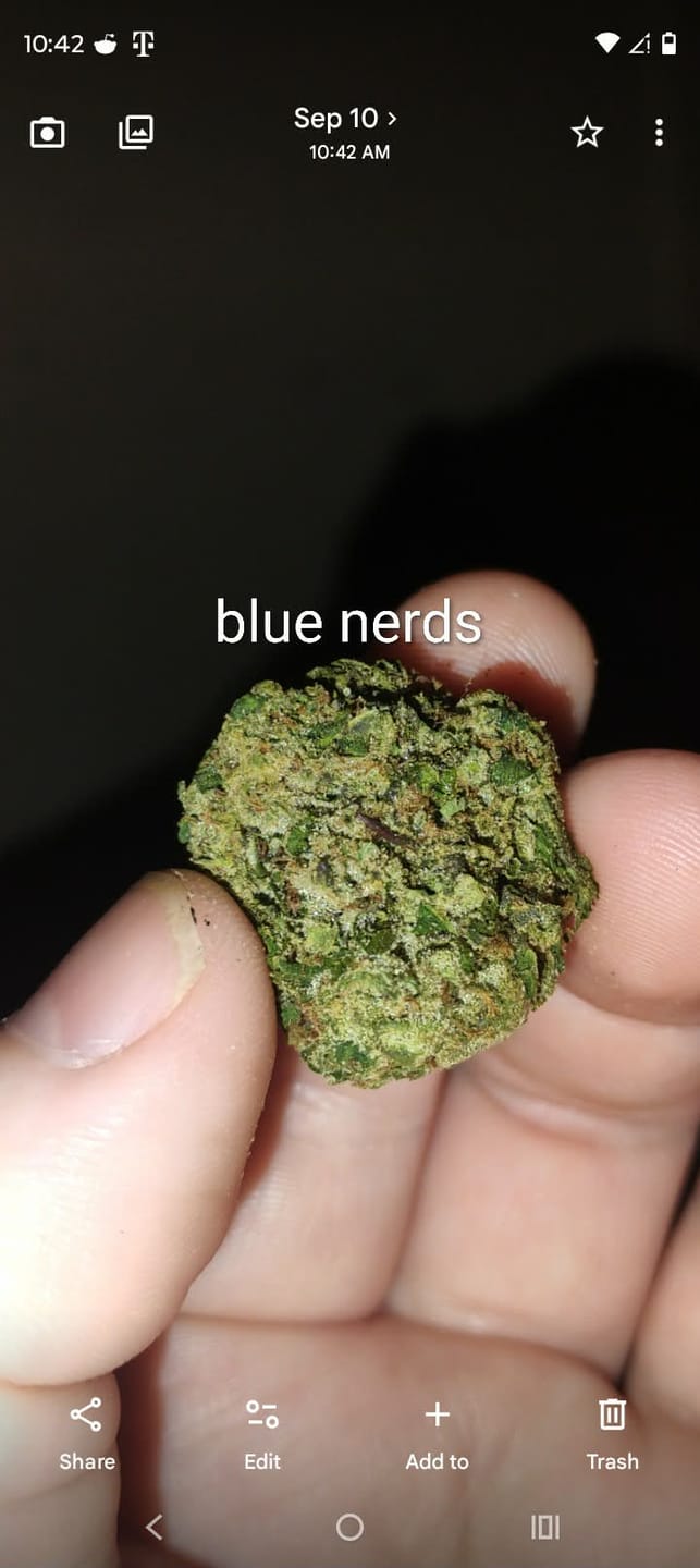 Customer photo review of Blue Nerdz Light Assist THCA
