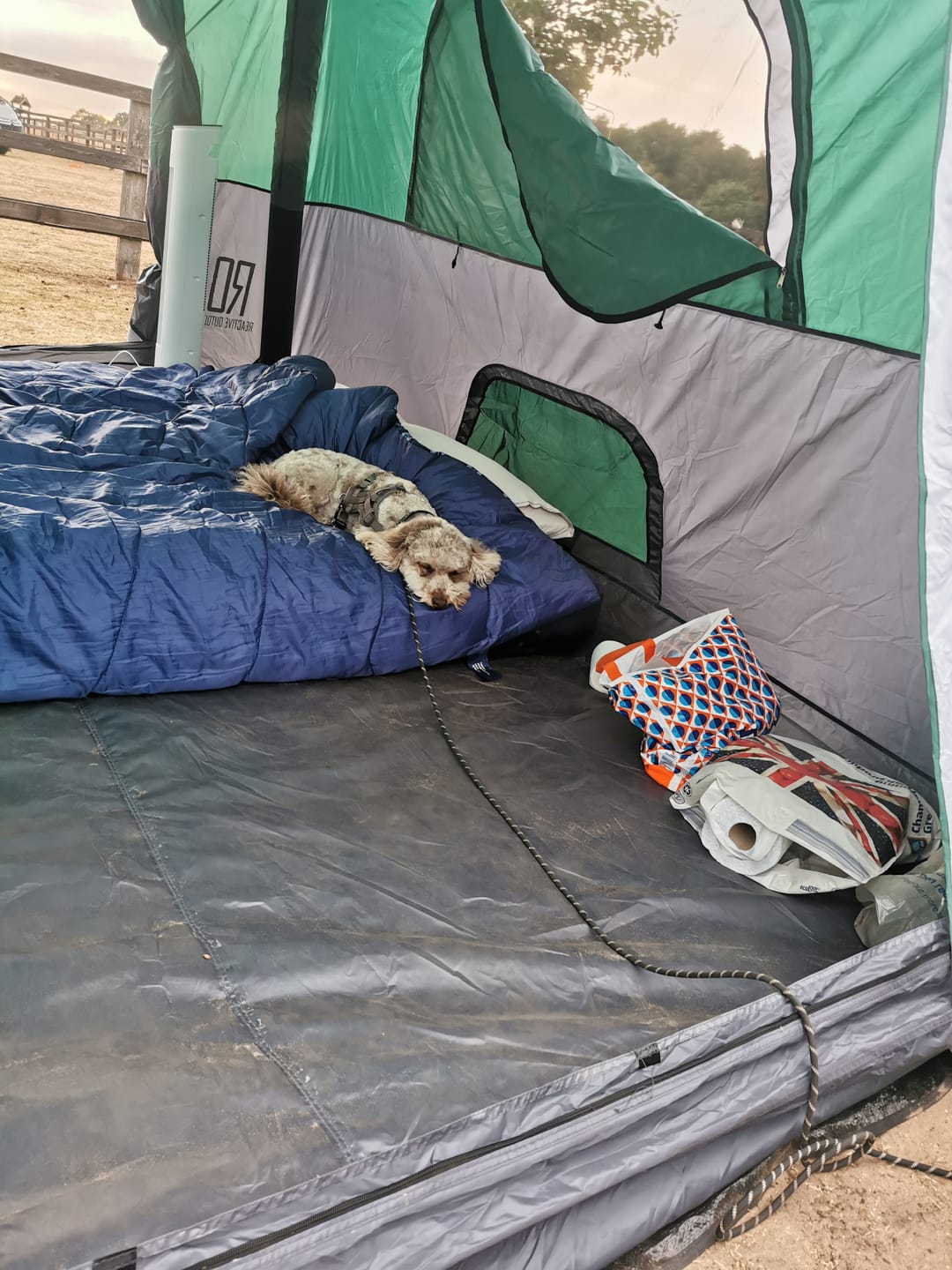 Customer photo review of 2-Step Cabin Tent