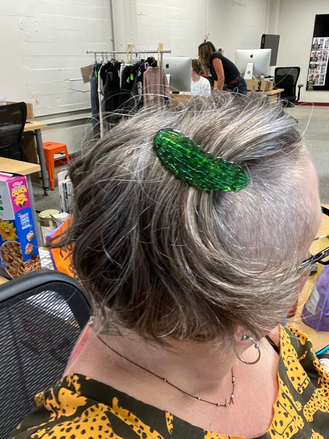 Customer photo review of Pickle Alligator Hair Clip Set