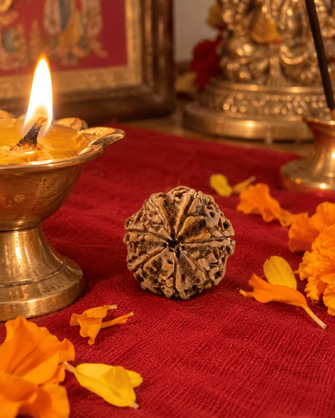 Customer photo review of 7 Mukhi Rudraksha (Nepali)
