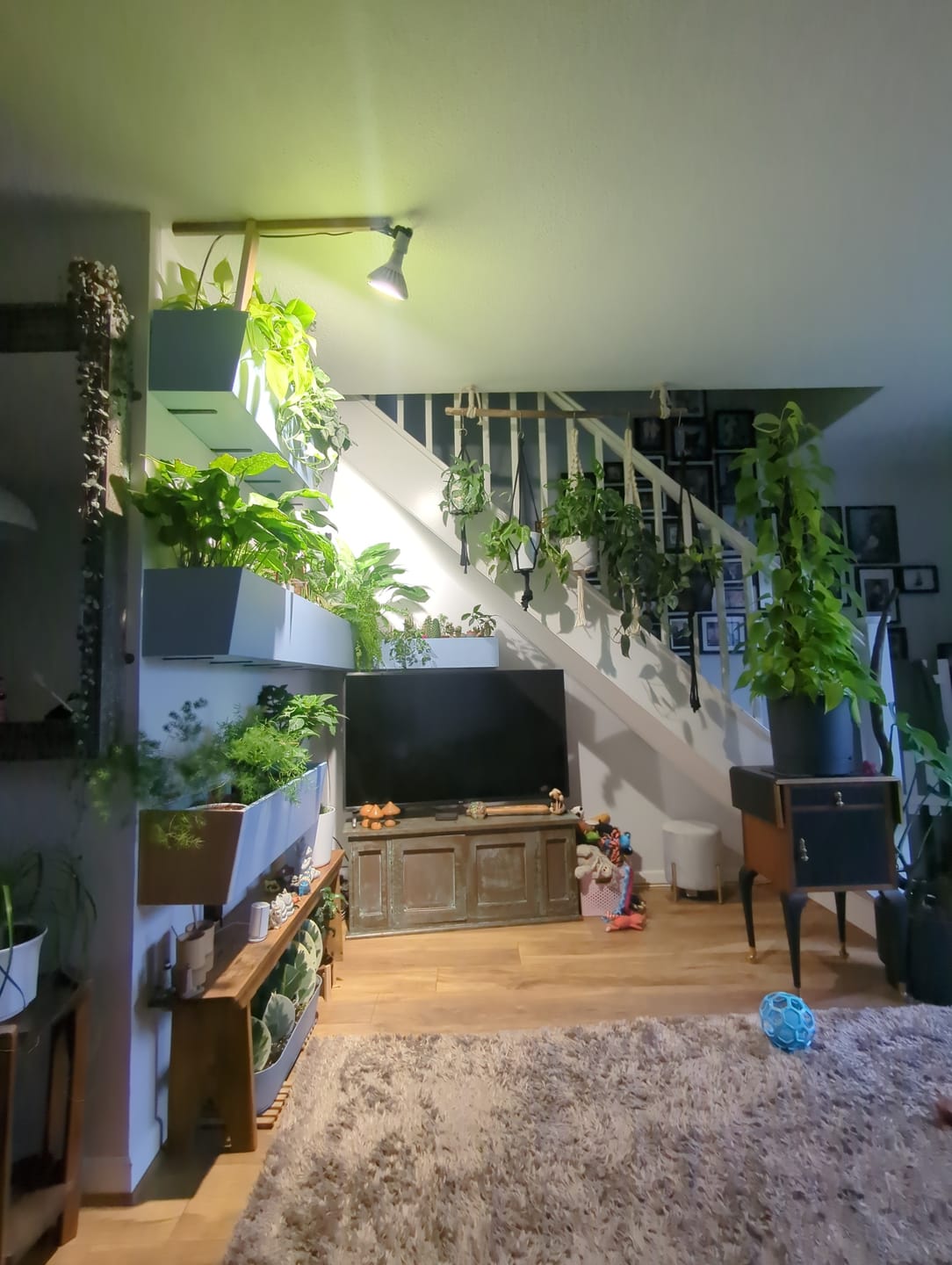 Customer photo review of Pianta Grow Light LED Bulb