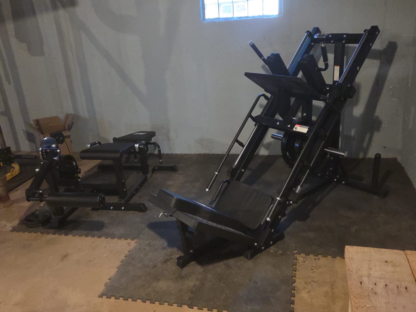 Customer photo review of RitFit The Ultimate Leg Day Duo