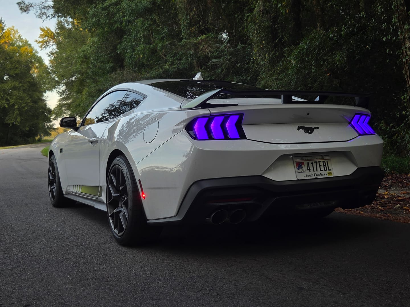 Customer photo review of 2024-2026 Mustang S650 Euro Style RGB Taillights