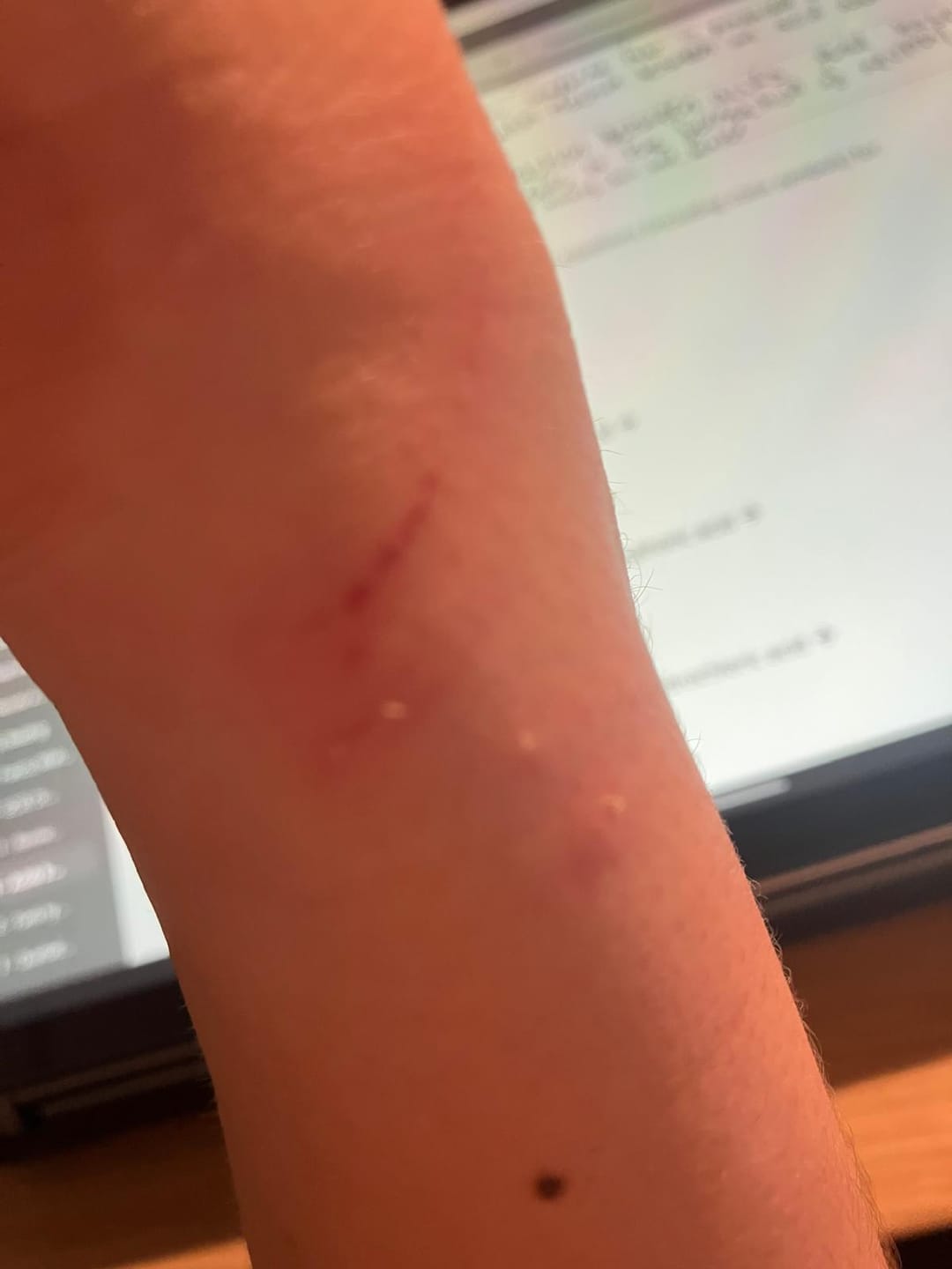 Customer photo review of Amelia Gold Pink Star Bangle