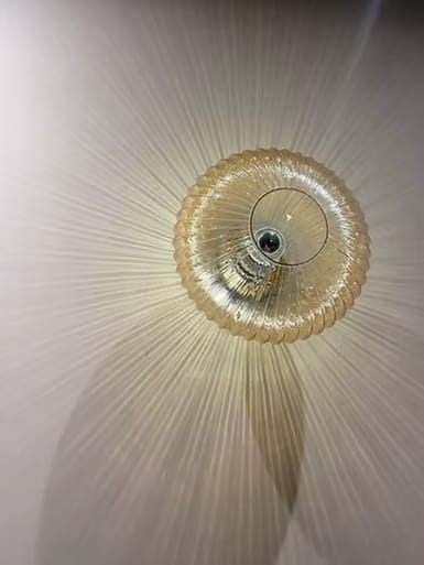 Customer photo review of Arandela Art Déco Vidro Âmbar Canelado Elegante
