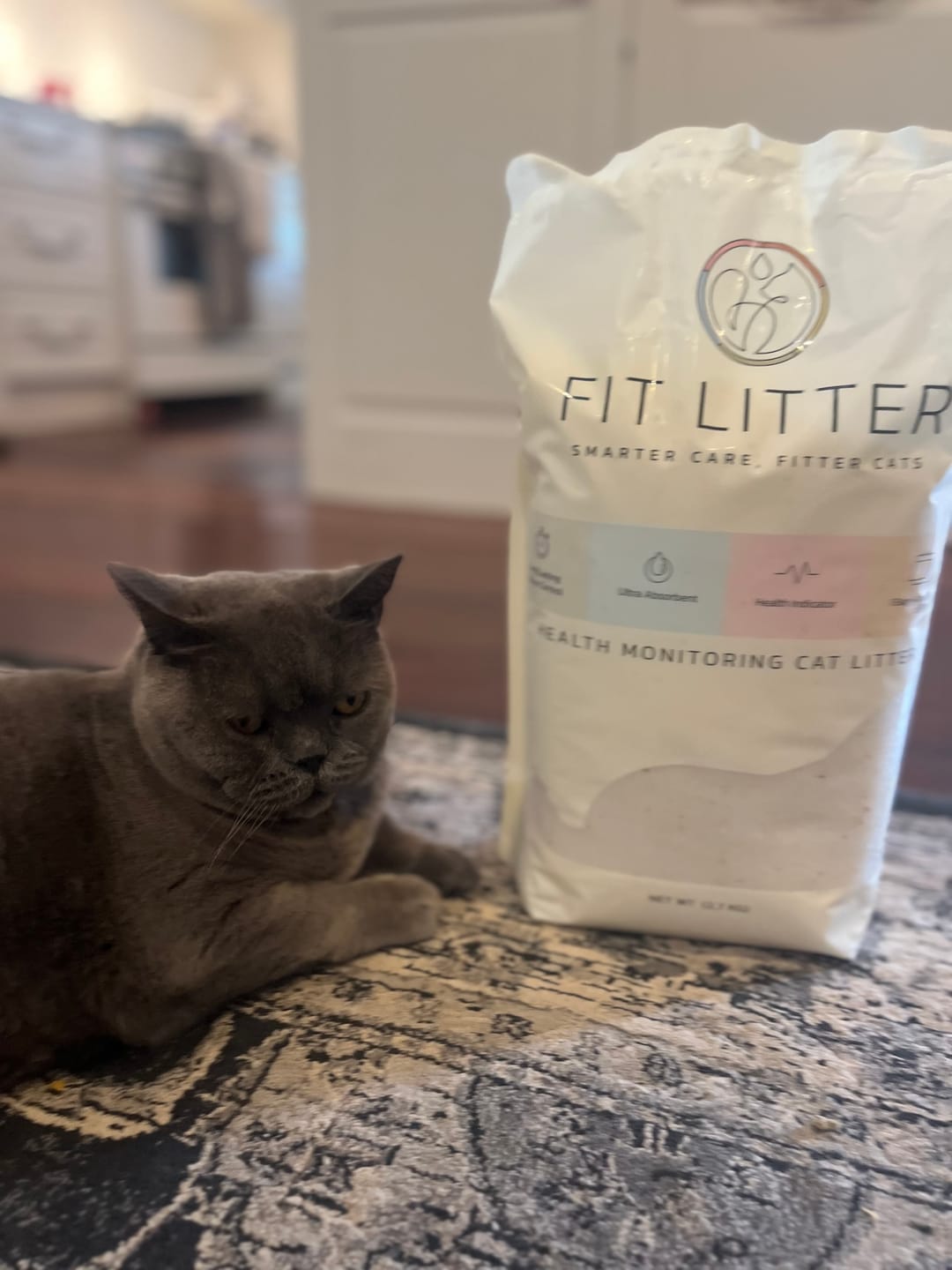 Customer photo review of Fit Litter