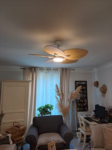 Customer's Dahlia teinté Chêne ventilateur de plafond allumé au-dessus d'un salon avec des meubles en bois.