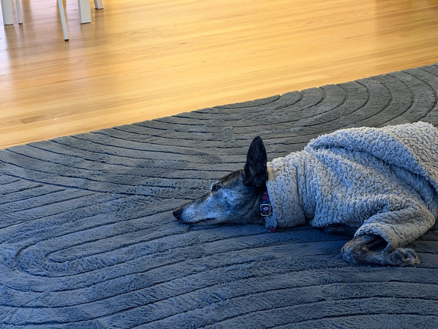 Customer photo review of Designer Relax Mat - 1.4" Thick Foam Base