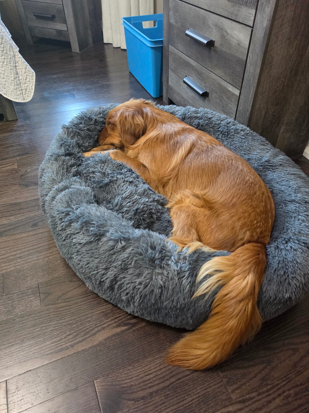 Customer photo review of Brooklyn® Deep Sleep Spare Covers