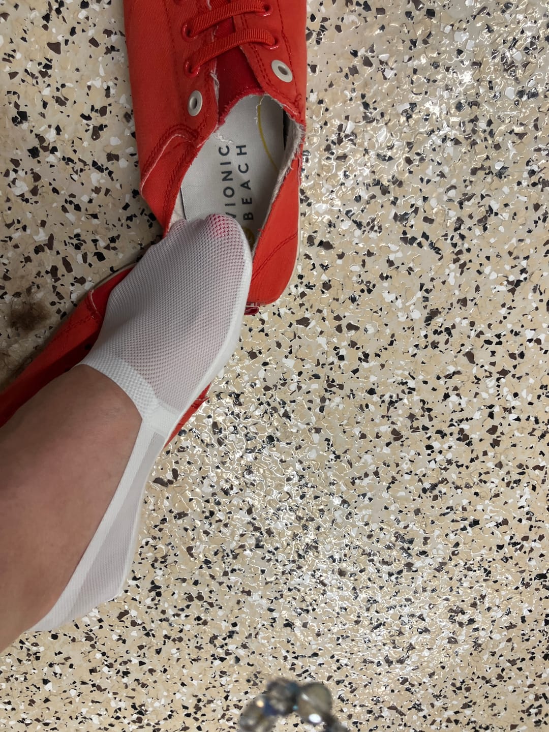 Customer photo review of 3 Pack Invisible Socks
