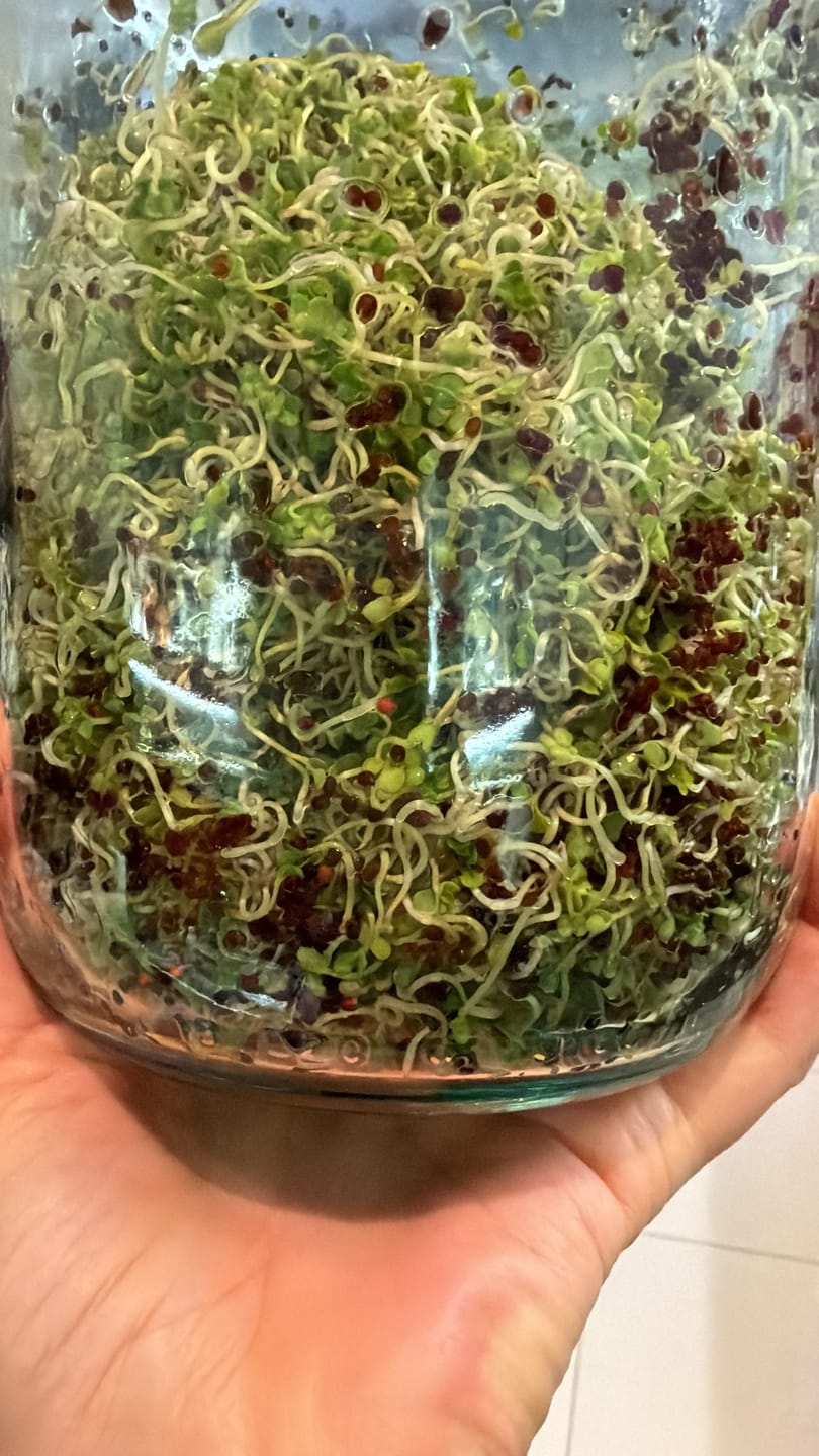 Customer photo review of Fermentier-Set mit „VitalGlas“