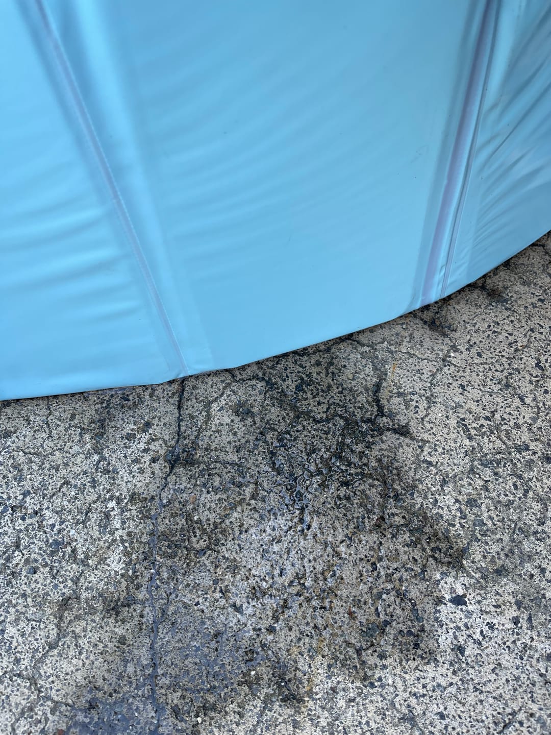 Customer photo review of Pet Dog Pool – Folding 2-in-1 Splash Bath Tub