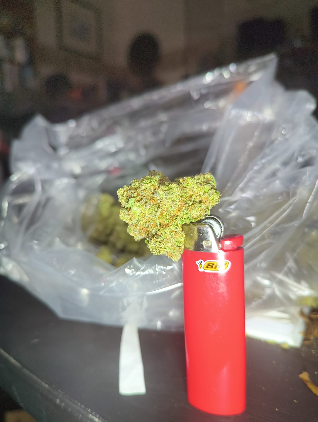 Customer photo review of Purple Push Pop  (Half-Price Wholesale Clearance)