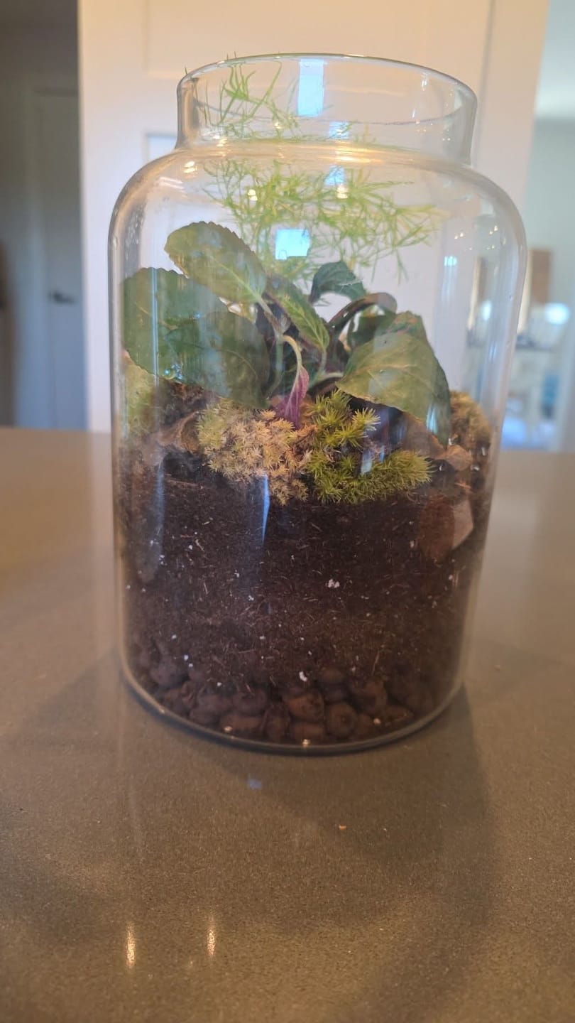 Customer photo review of Light Up Terrarium Kit