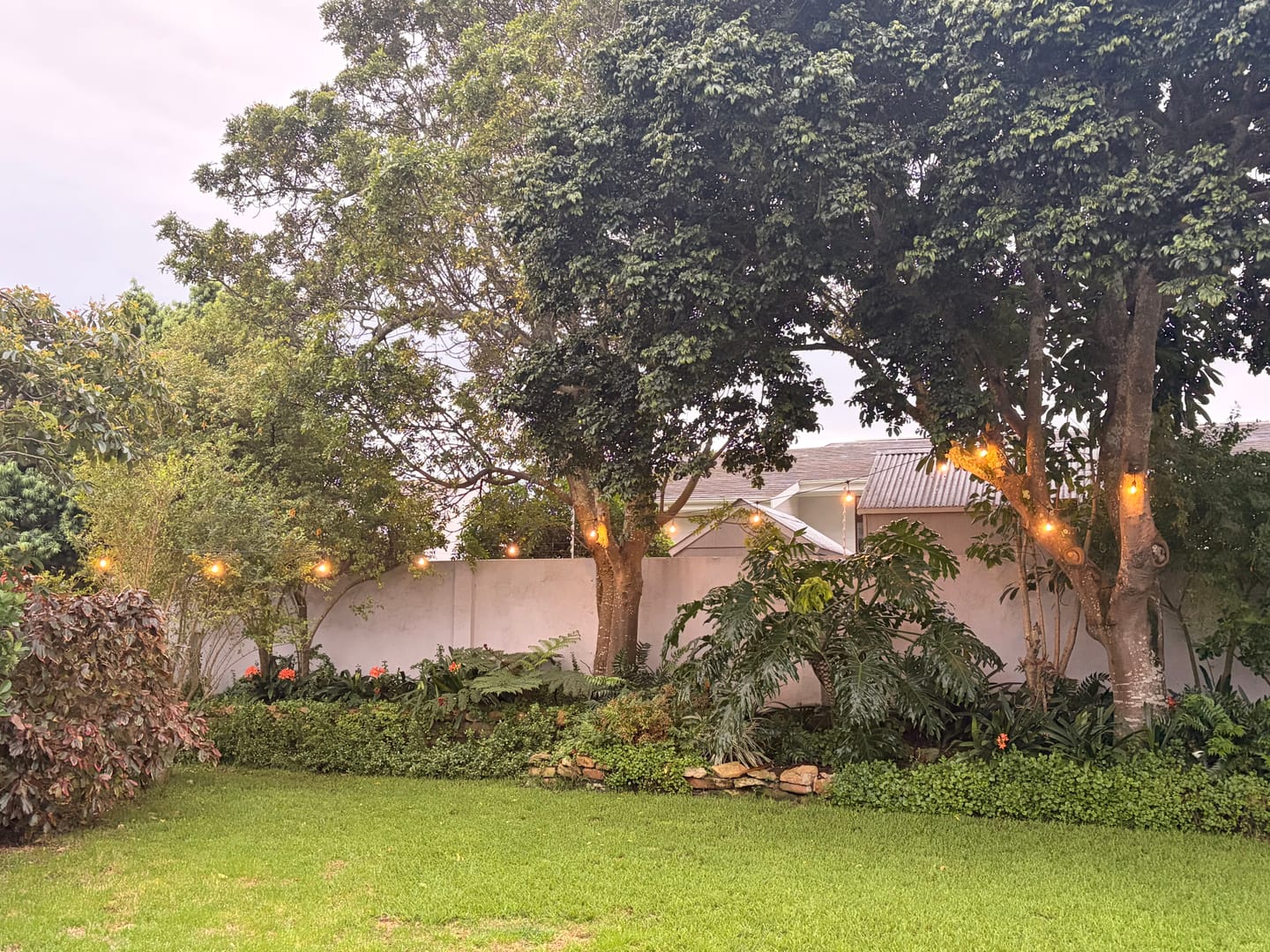Customer photo review of Plug-In Festoon Bulb String Lights