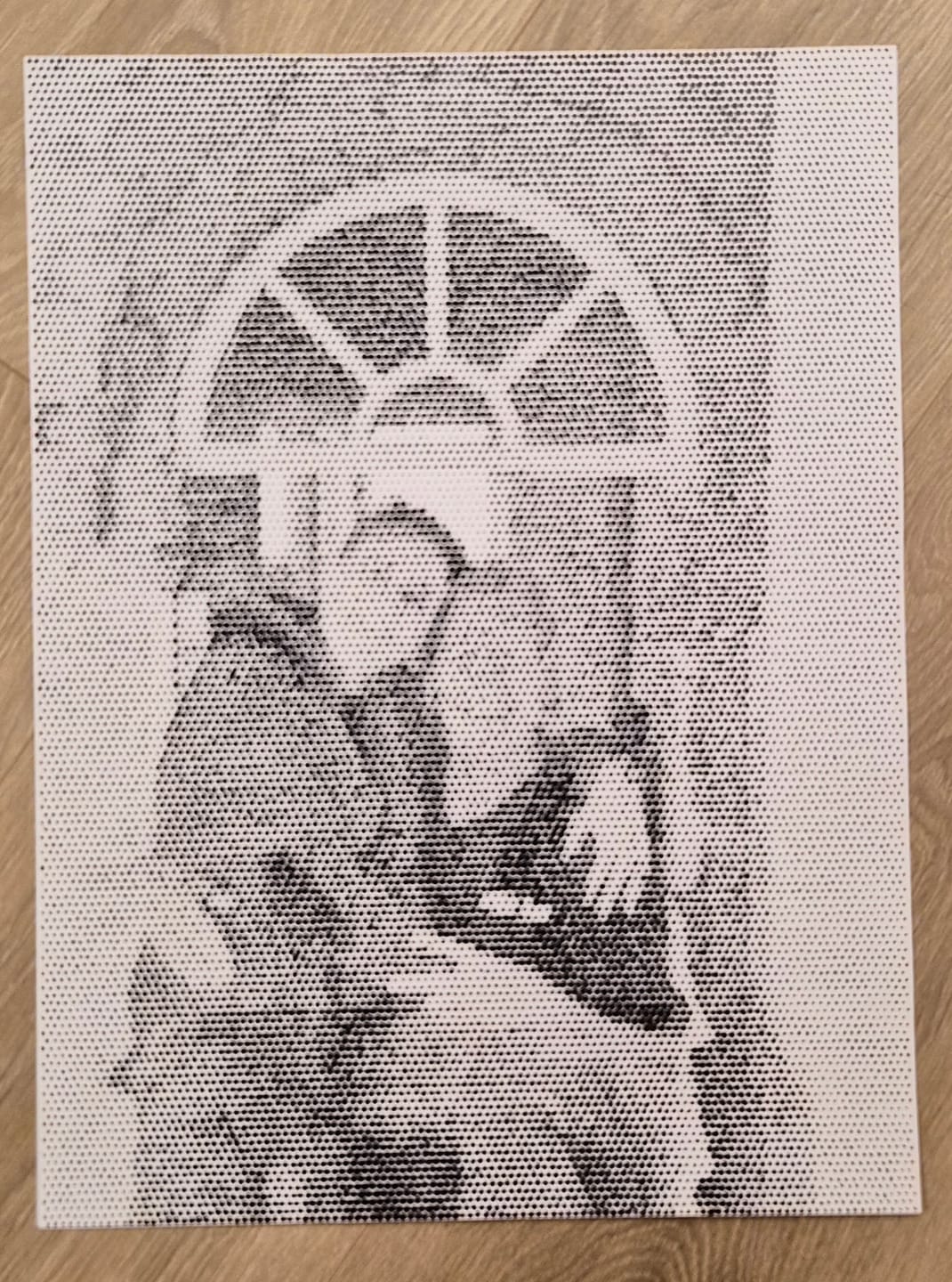 Customer photo review of Dot painting van eigen foto - gemaakt in Nederland