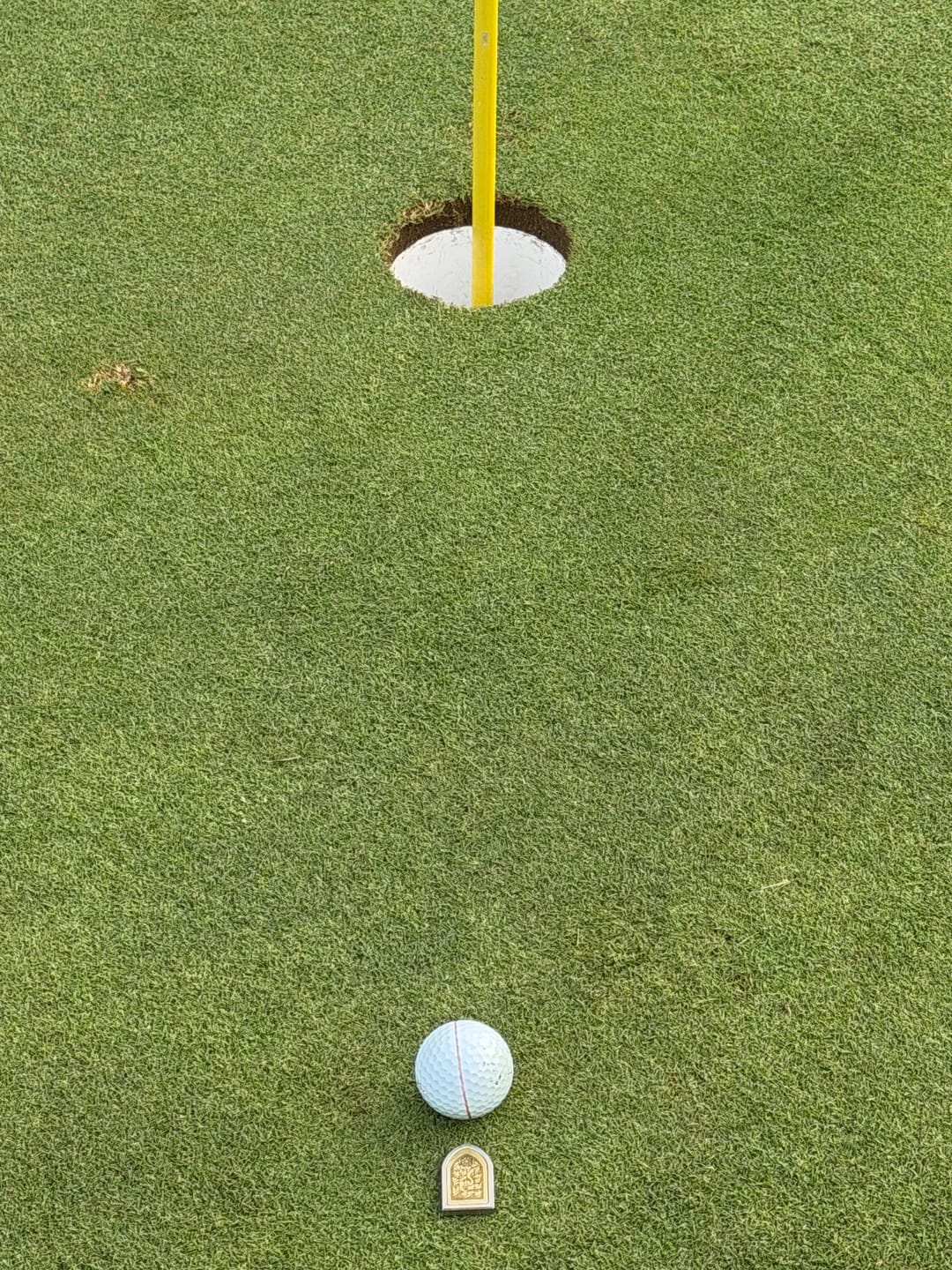 Customer photo review of HOLY WATER — Ball Marker
