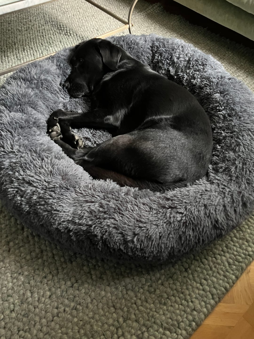 Customer photo review of CalmBed överdrag