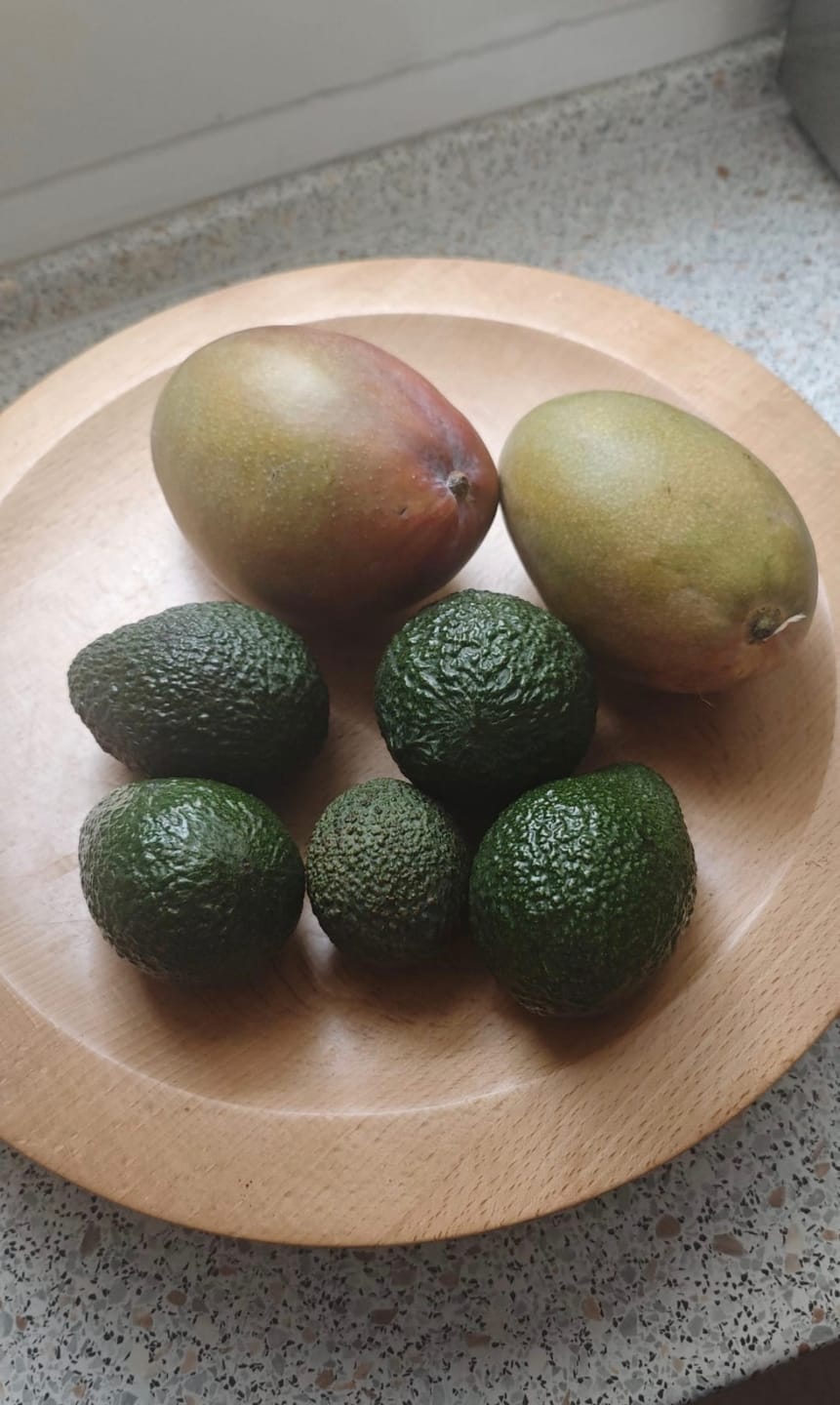 Customer photo review of Mango Osteen von Julian