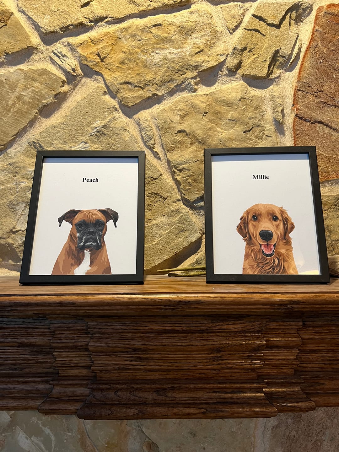 Customer photo review of Custom One Pet Portrait