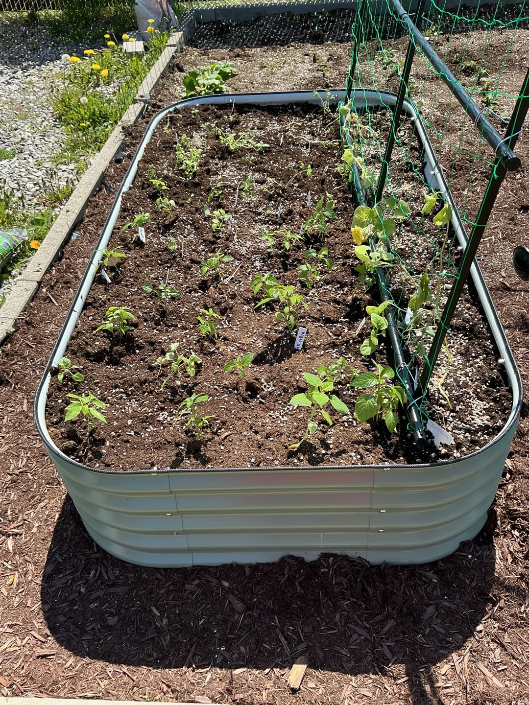 Customer photo review of 17” Tall Modular 9 in 1
