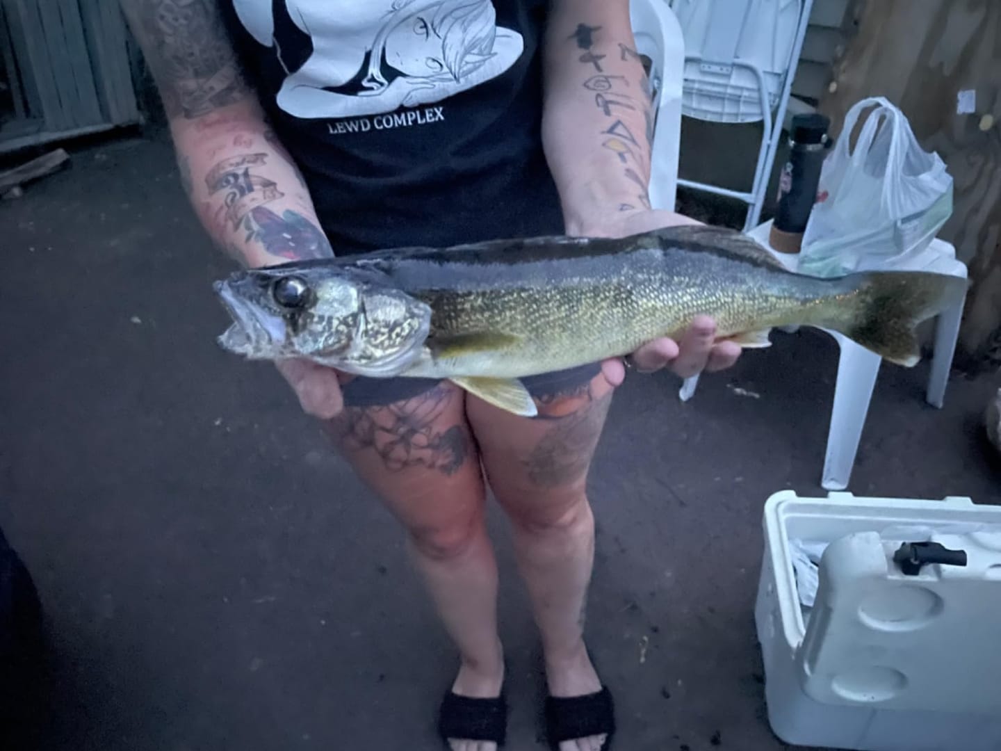 Customer photo review of Shadtale Soft Fishing Lures with BKK Hooks