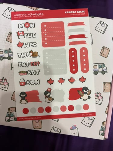 Customer's Canada Geese Journaling Sheet featuring colorful day stickers, checklists, and cute goose illustrations.