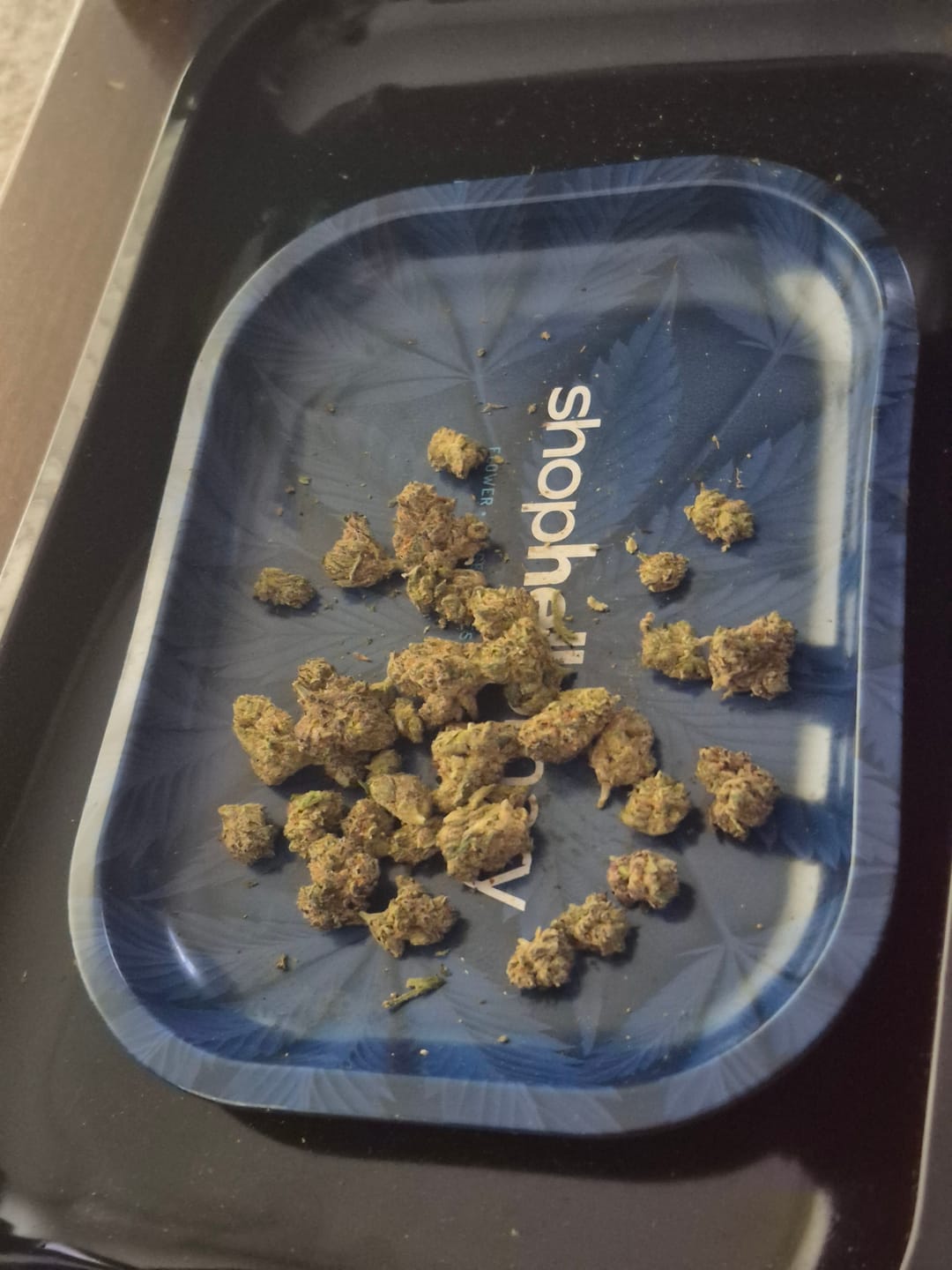 Customer photo review of Strawberry Ice Cream #2 - Indoor