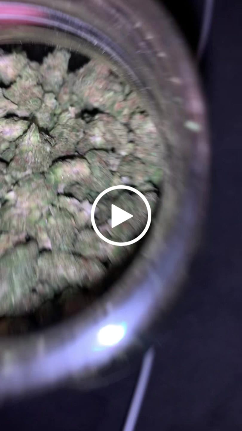 Customer video review of Light Assist THCA Smalls
