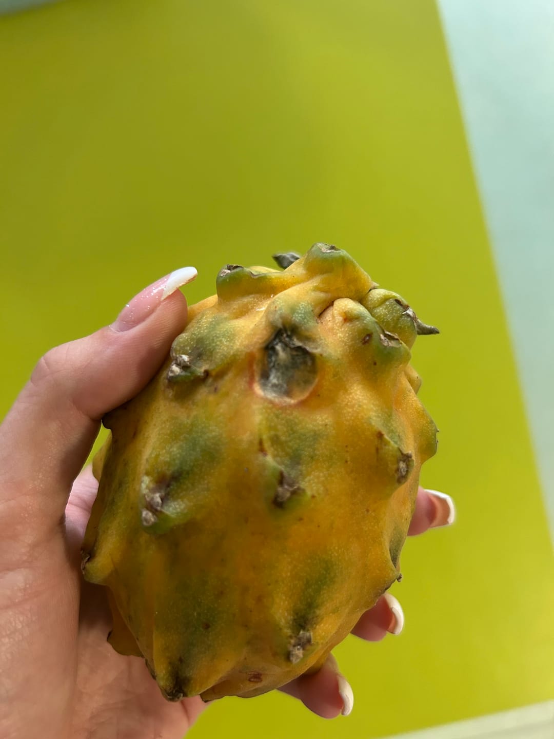 Customer photo review of Goldene Drachenfrucht (Pitaya) Sonderaktion %