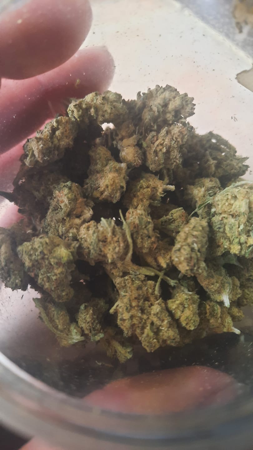 Customer photo review of Cheap THCA Flower Ounce