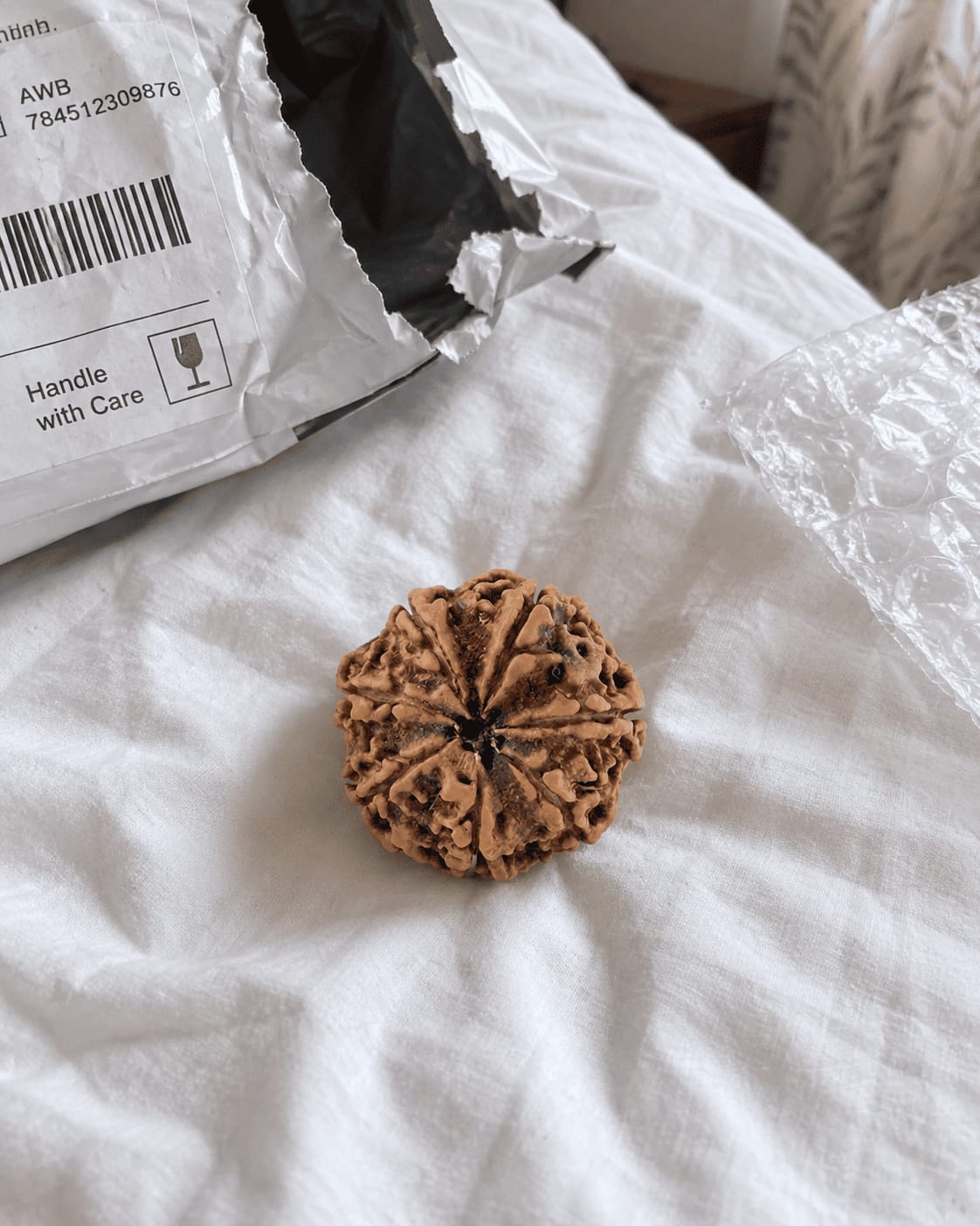 Customer photo review of 7 Mukhi Rudraksha (Nepali)