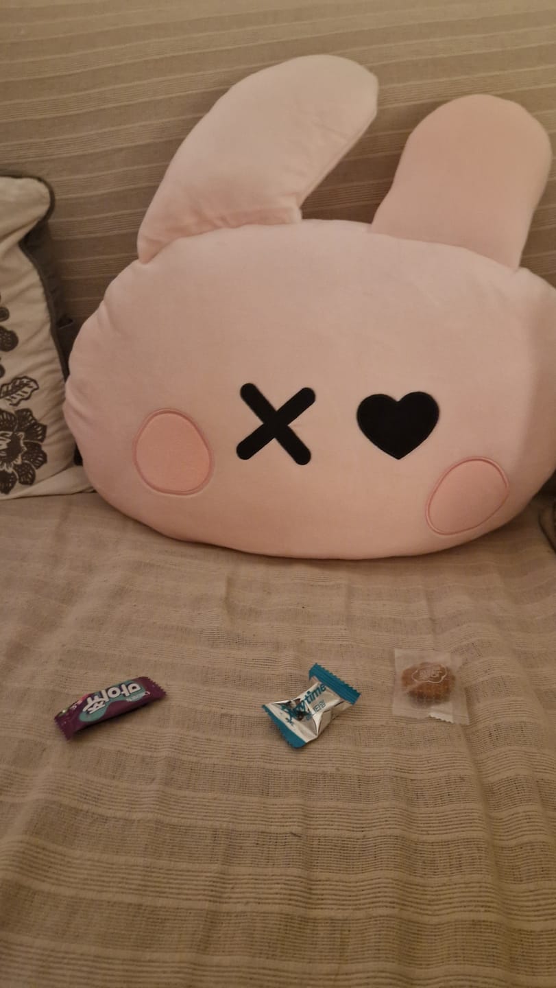 Customer photo review of BABYMONSTER [춤 (CHOOM) in Seoul] Character Face Cushion