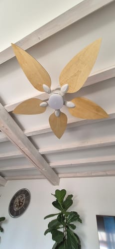 Customer's Virevole teinté Chêne ventilateur de plafond avec des pales en bois clair installées sur un plafond blanc