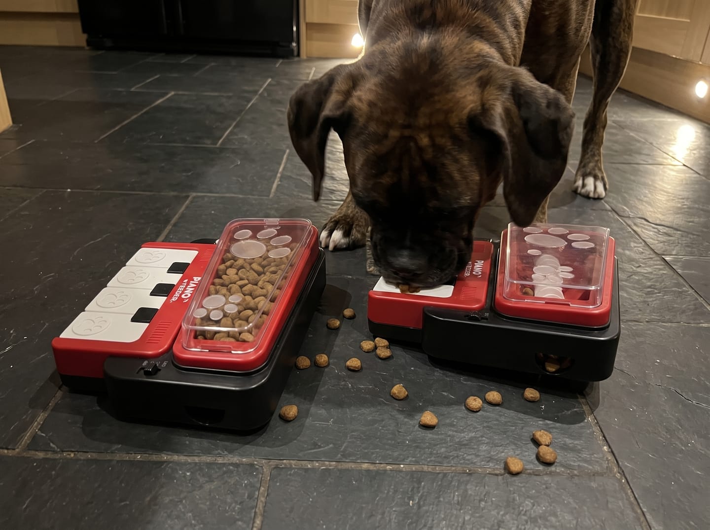 Customer photo review of PianoFeeder™ Interactive Dog Treat Dispenser