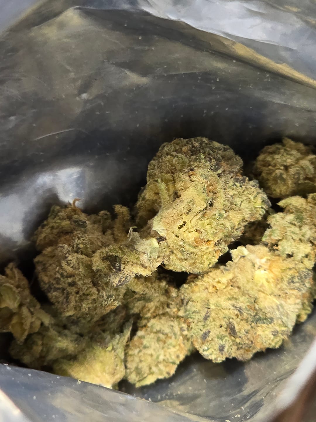 Customer photo review of Cheap Indoor THCA Flower