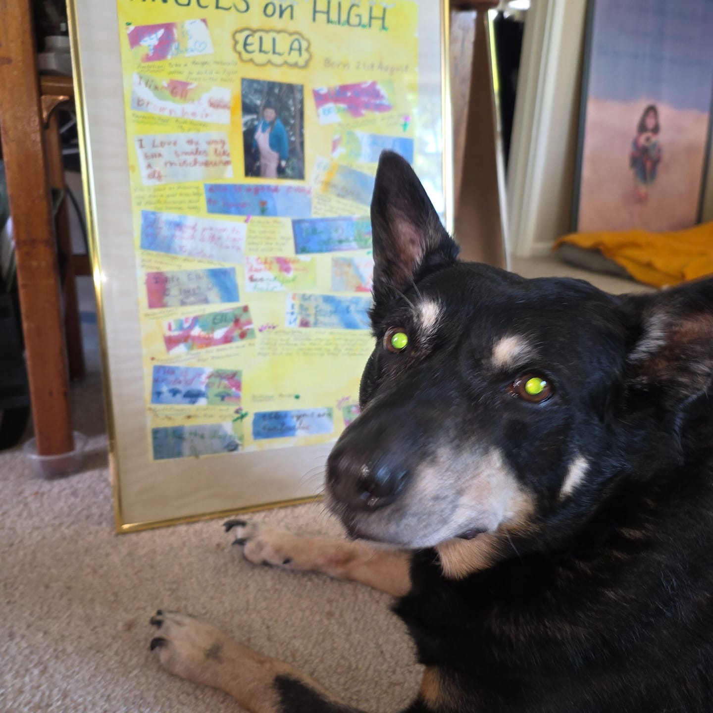 Customer photo review of Tvati Pet