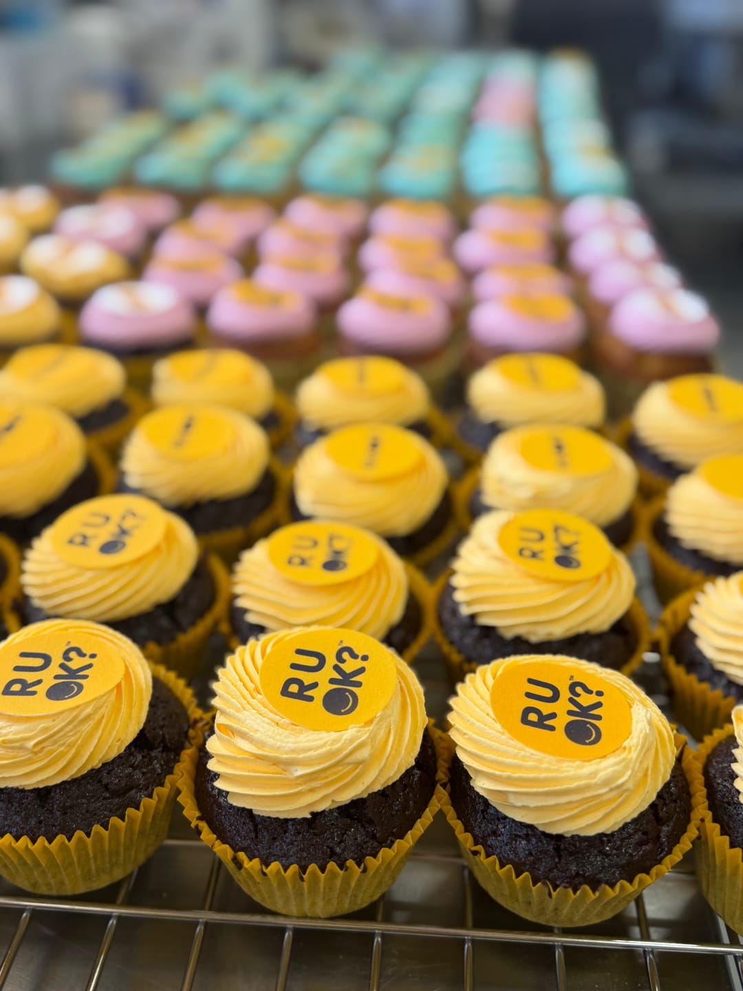 Customer photo review of R U OK Day - Edible Icing Images - Pre-cut