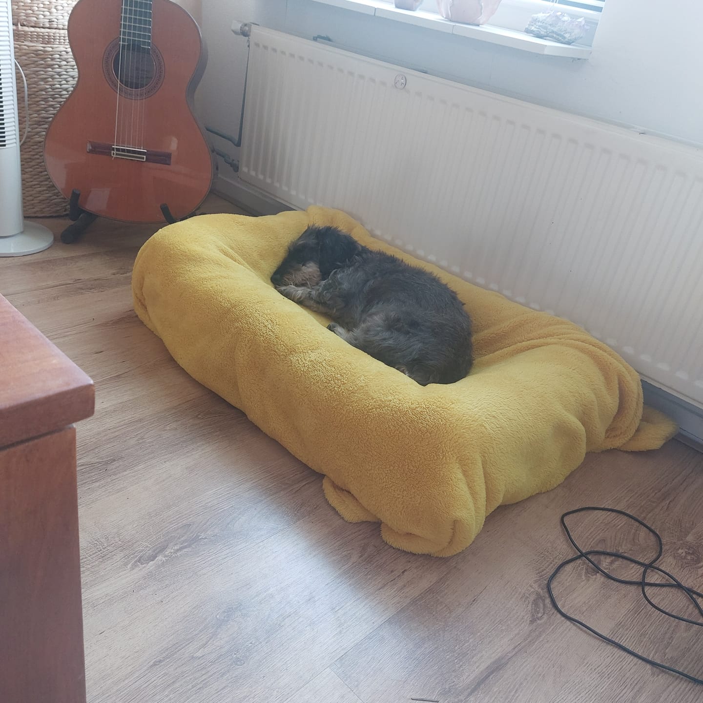 Customer photo review of Pet Perfect Orthopedische Hondenmand - Model 2 - Bouclé Cover