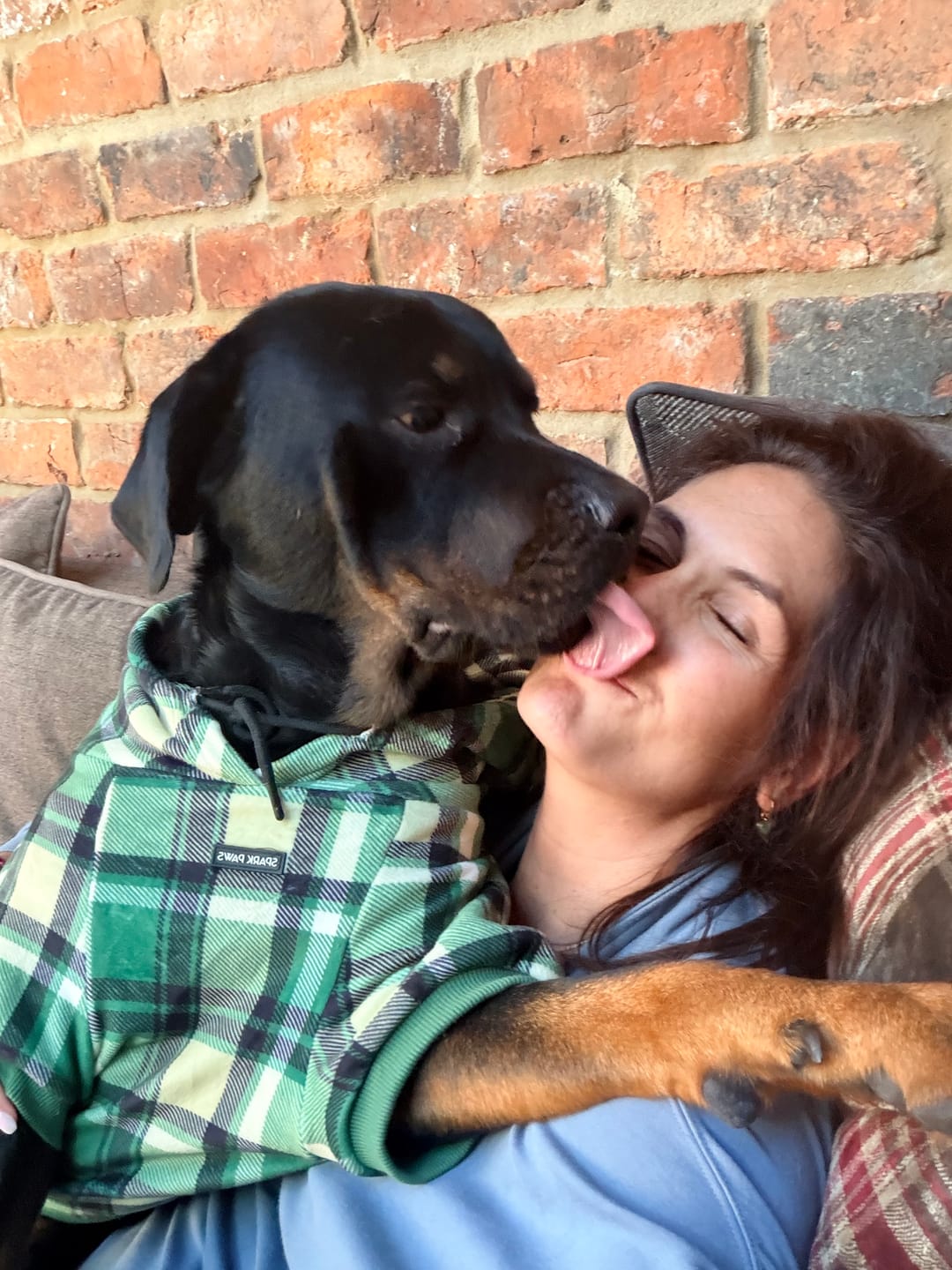 Customer photo review of Green Plaid Dog Hoodie