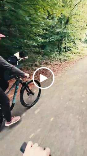 Customer video review of Kvisp Dog Bike Carrier