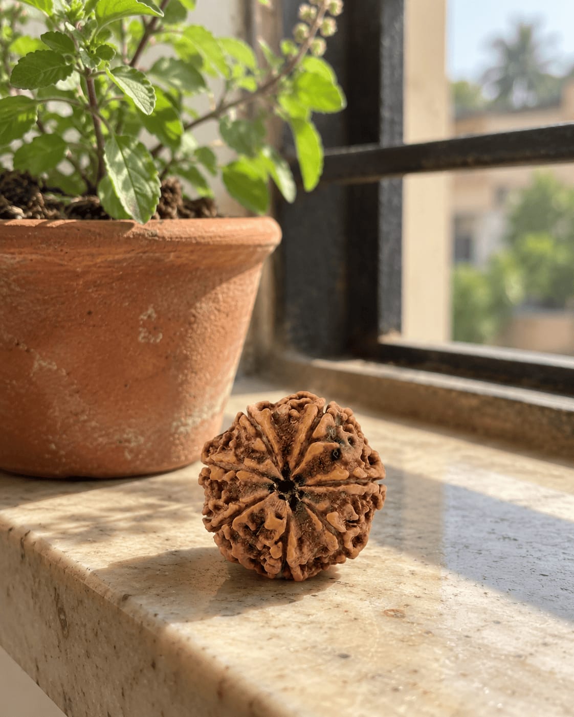 Customer photo review of 7 Mukhi Rudraksha (Nepali)