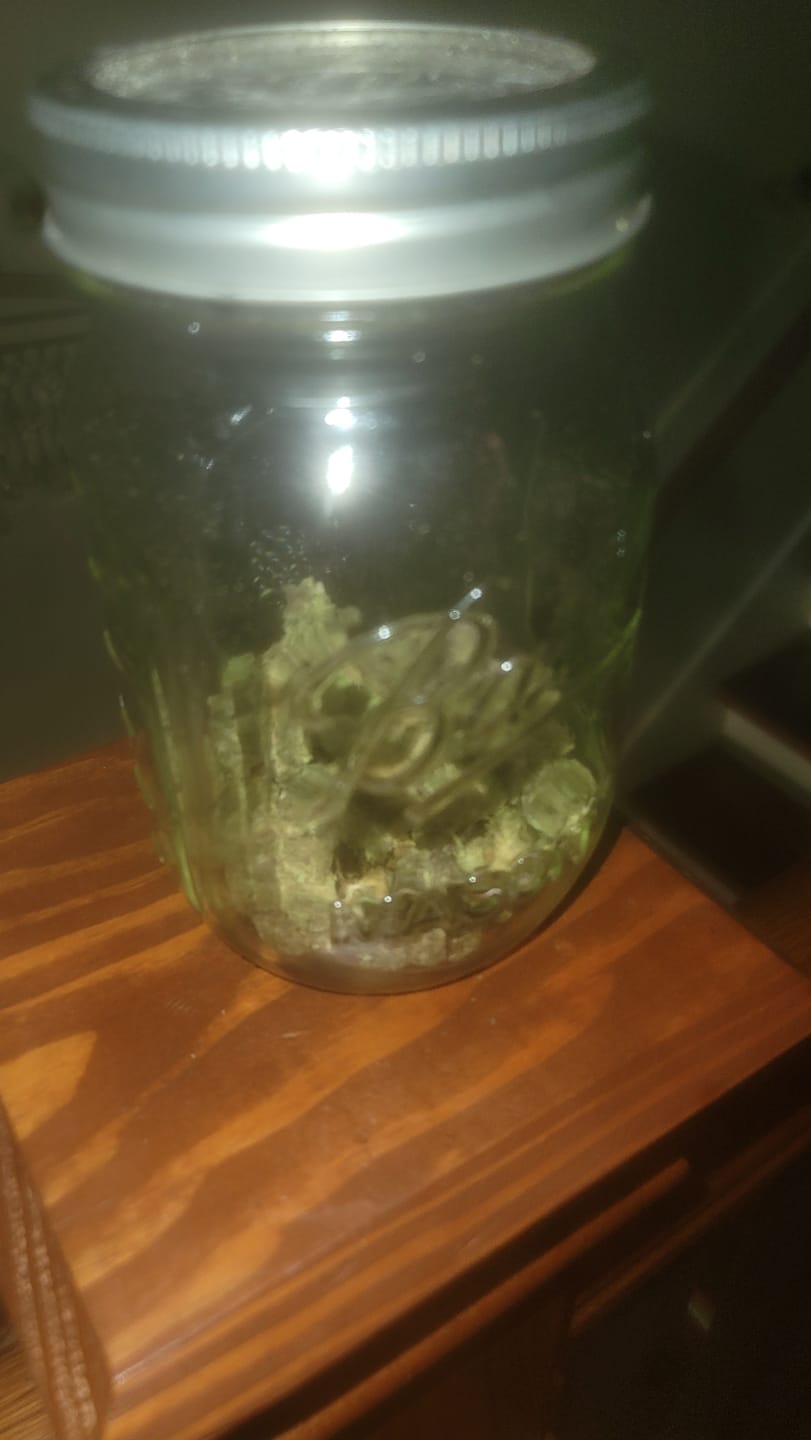 Customer photo review of Gelato Mintz - Minis - 28 Grams - Hybrid