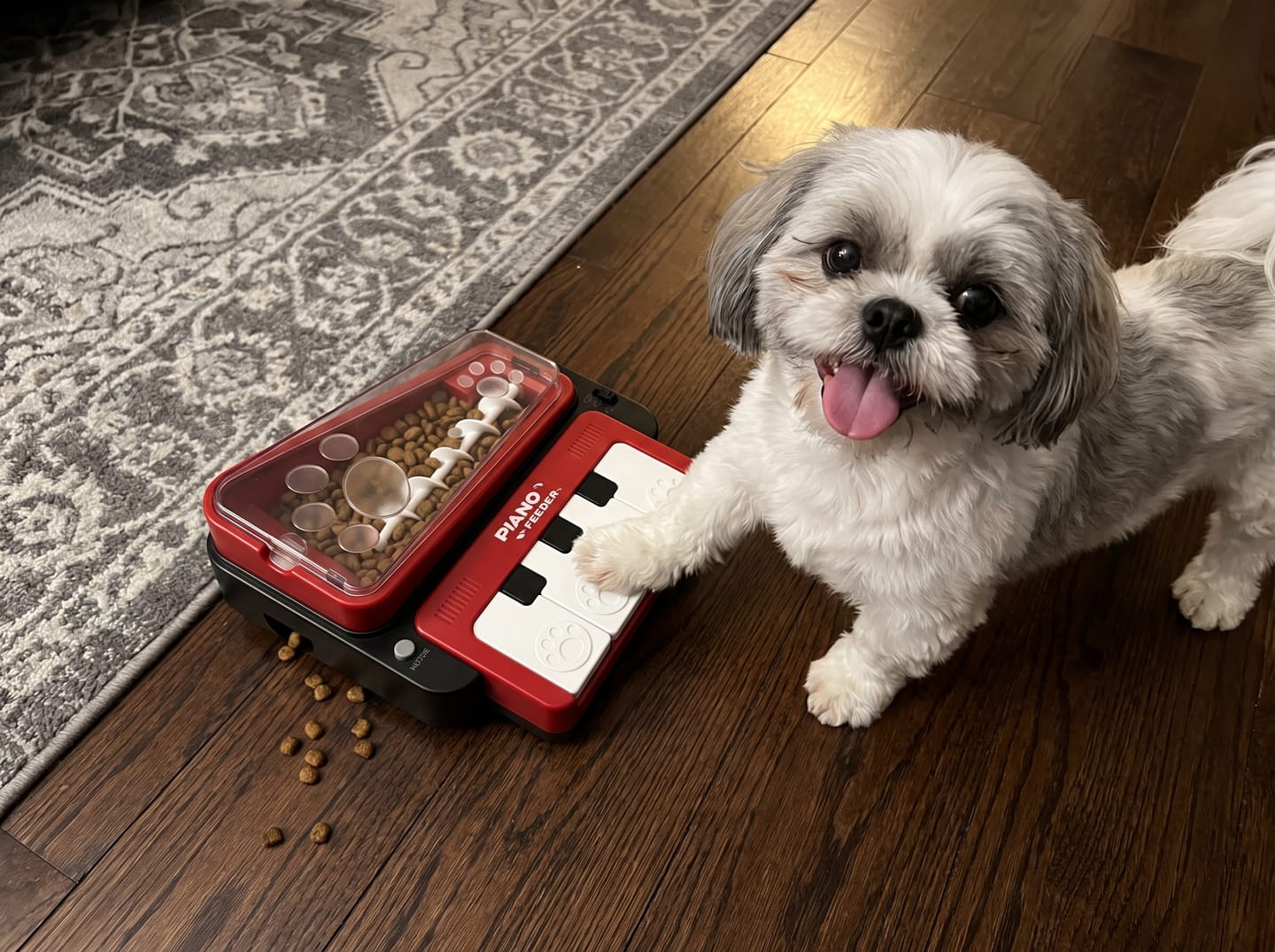 Customer photo review of PianoFeeder™ Interactive Dog Treat Dispenser