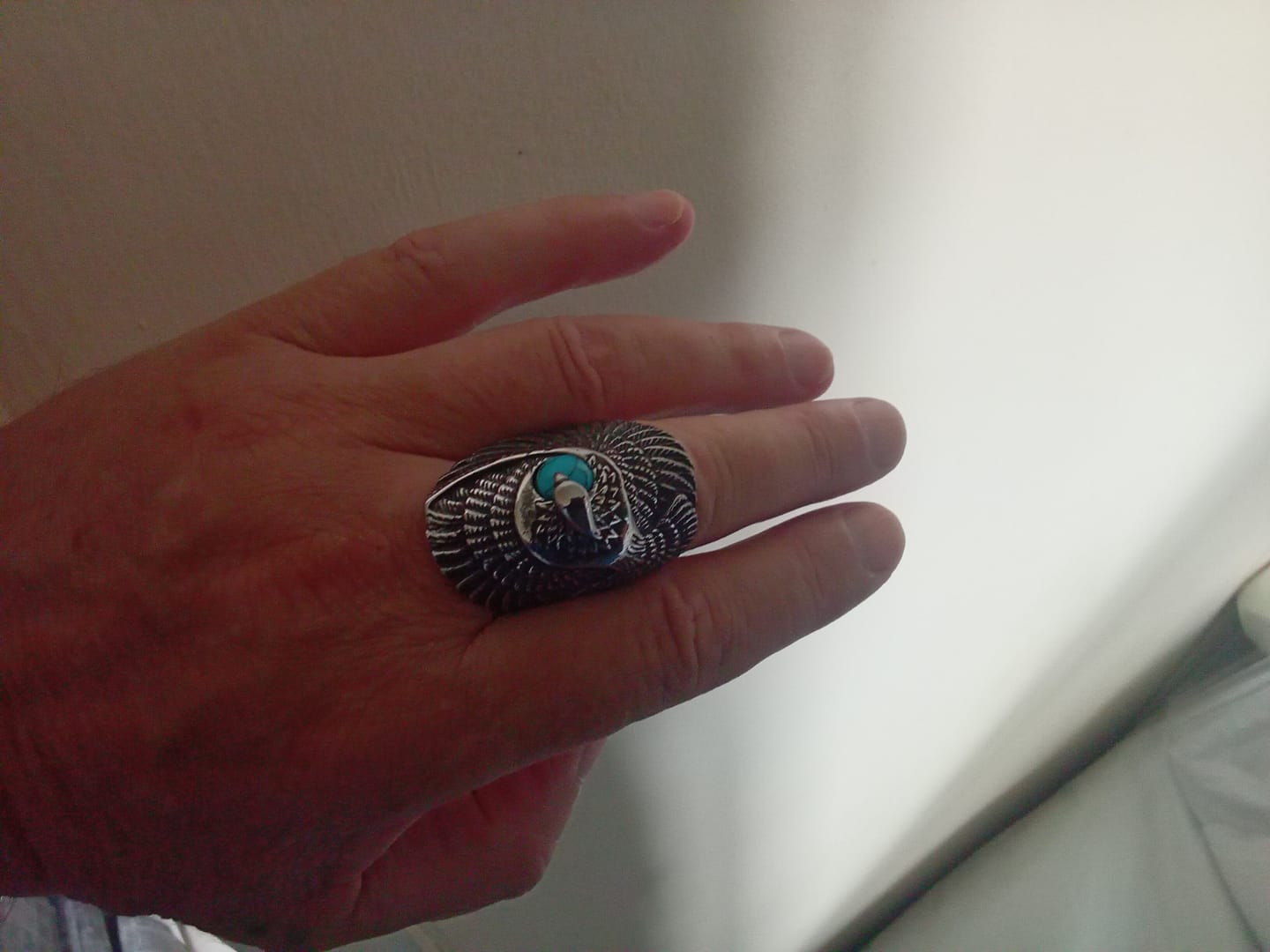Customer photo review of PROTECT WINGS.